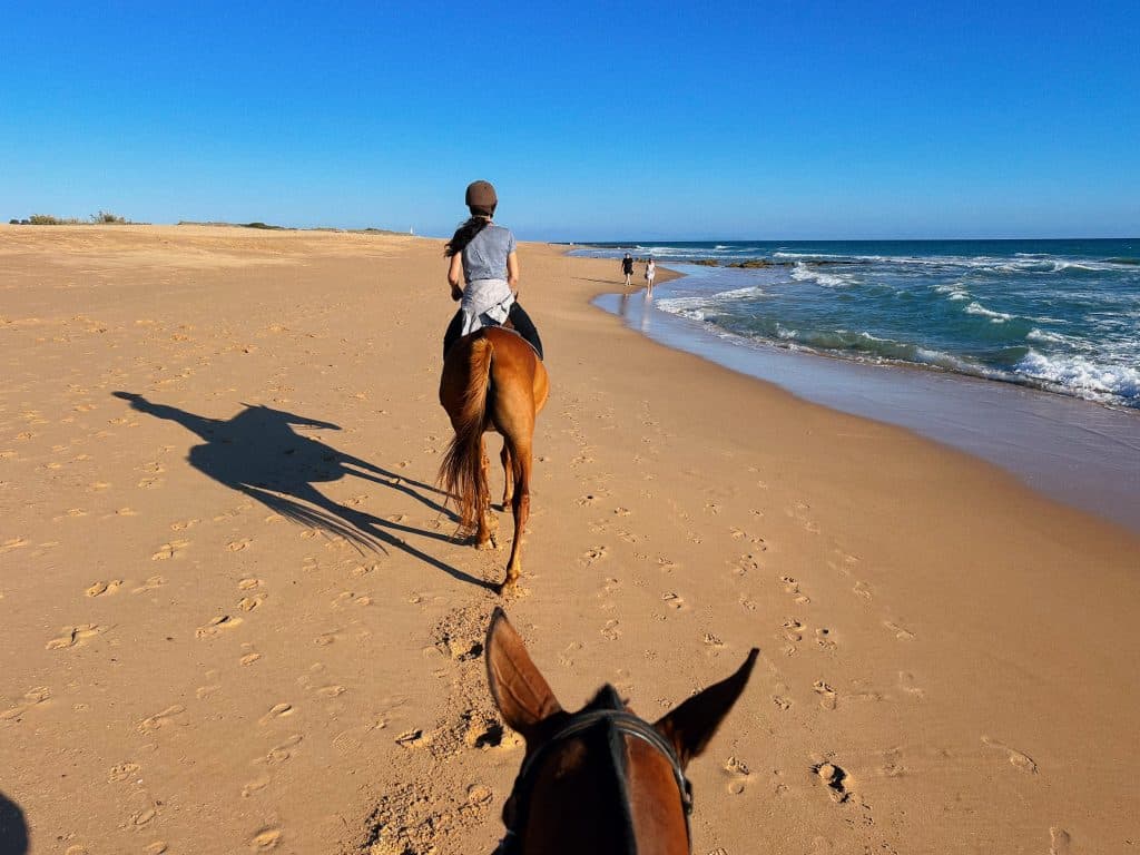 Paseo a caballo en El Palmar, con Trafalgar Polo Club