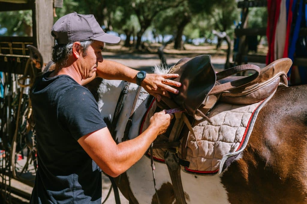 Hombre ajustando silla de montar en caballo.