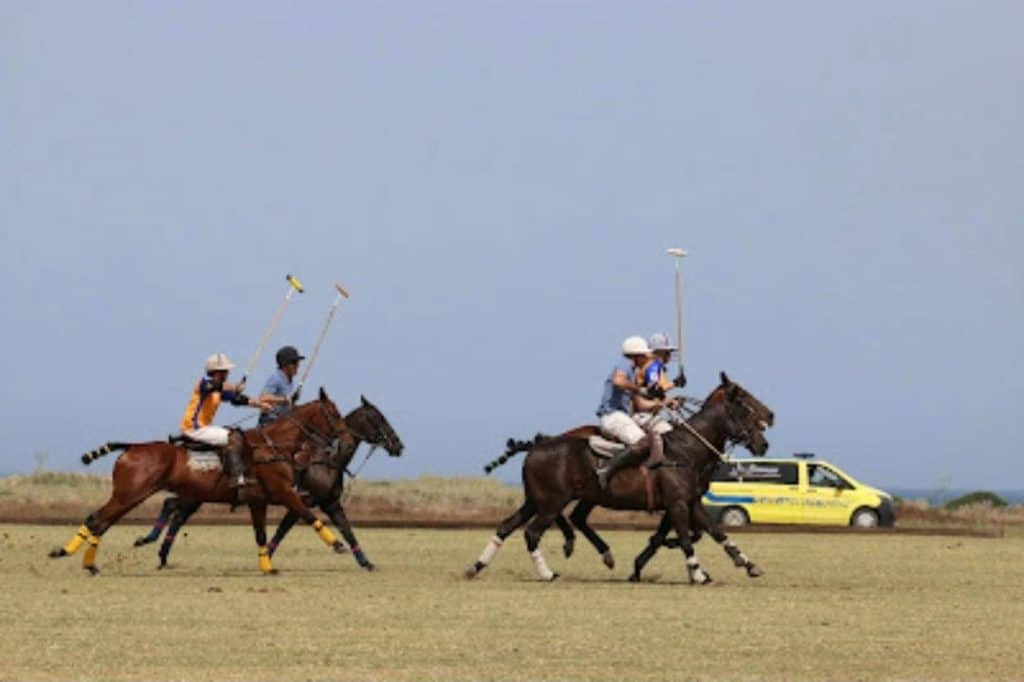 Jugadores de polo en acción en el campo