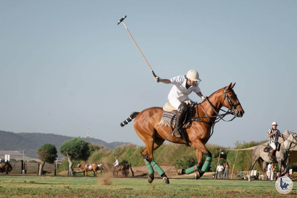 caballo a gran velocidad