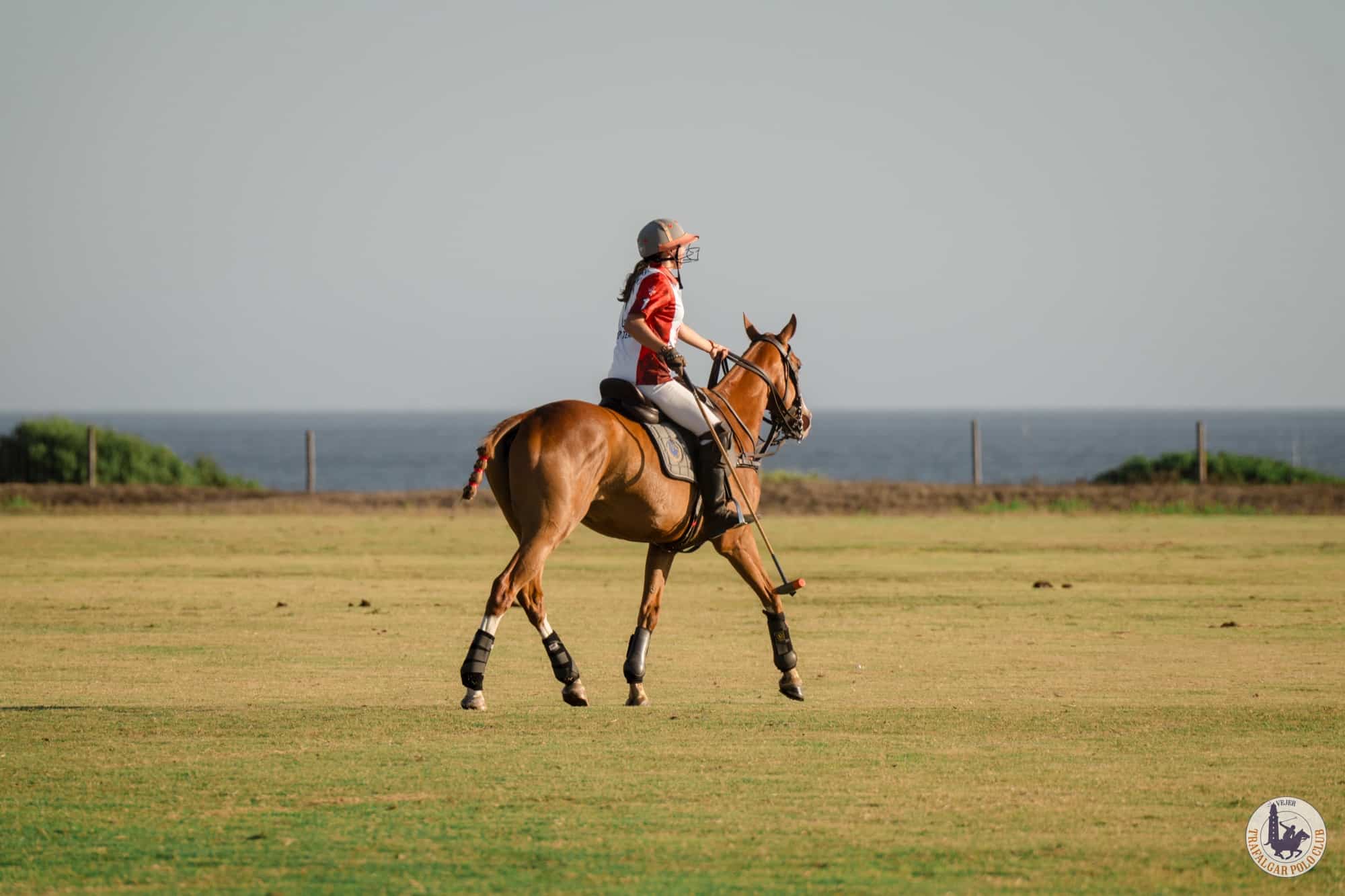 professional polo shirt