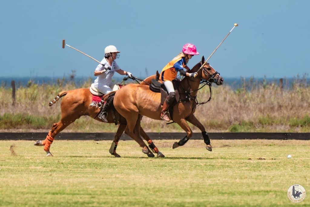 caballos en polo club