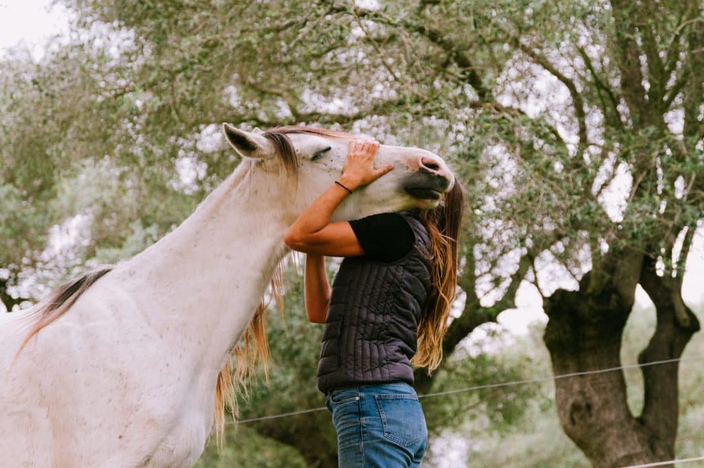 experiencias con caballos