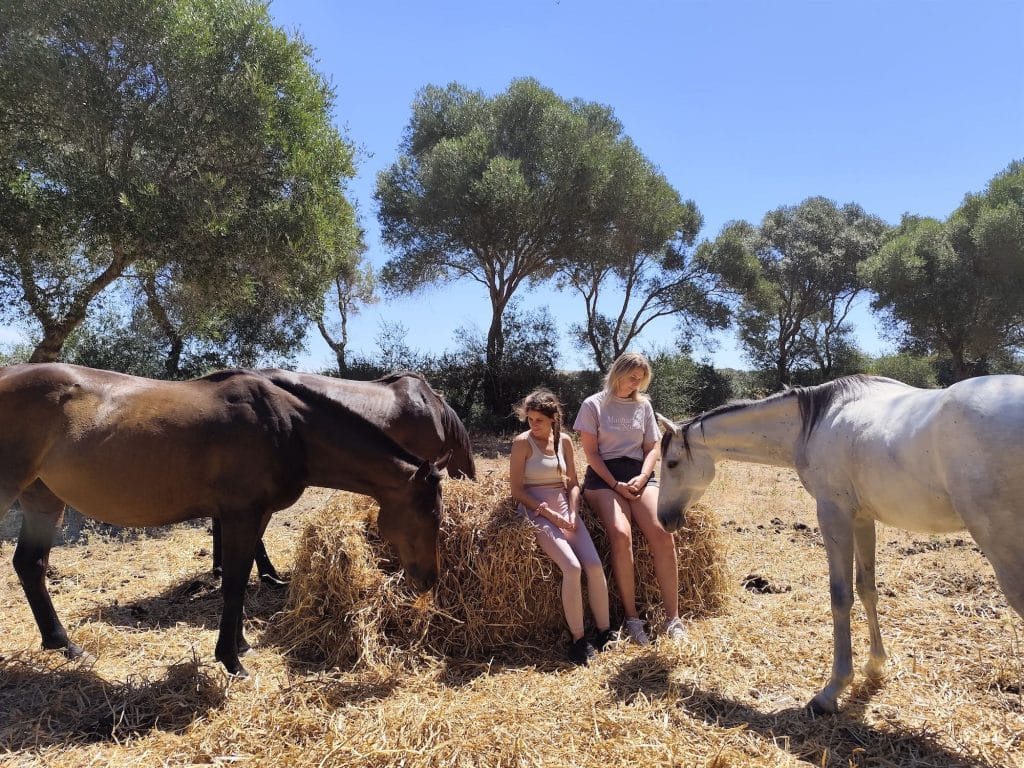 mindfulness con caballos