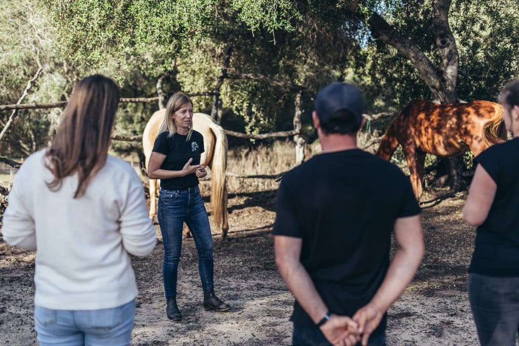 La mejor experiencia con caballo para empresas